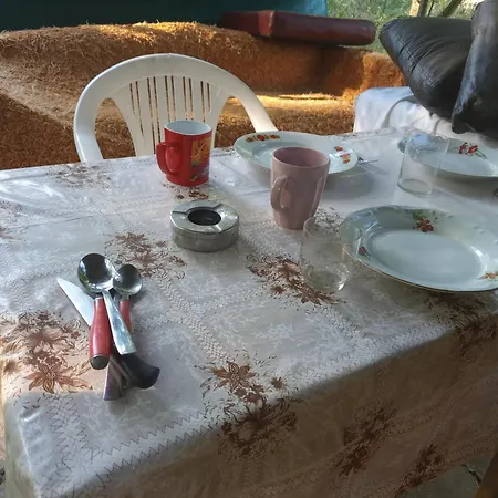 златна рибка * Achtopol