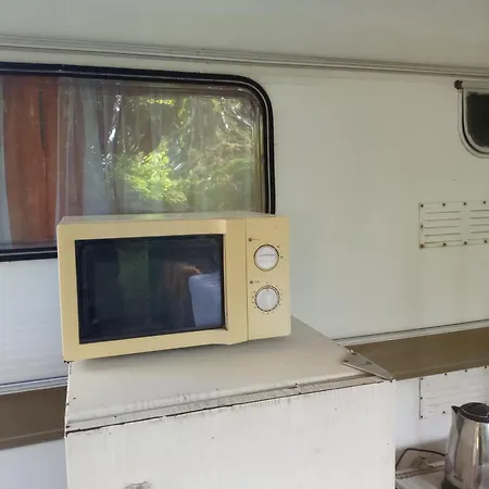 златна рибка Lägenhet